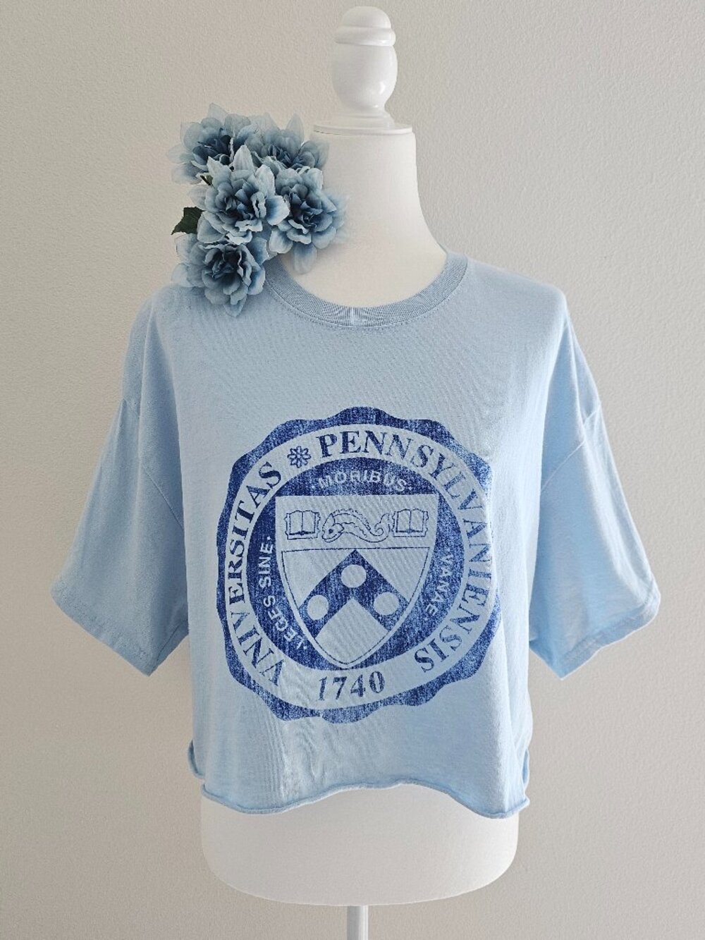 [trdmrk] UPenn Penn Graphic Crop Tee XL Light Blue
